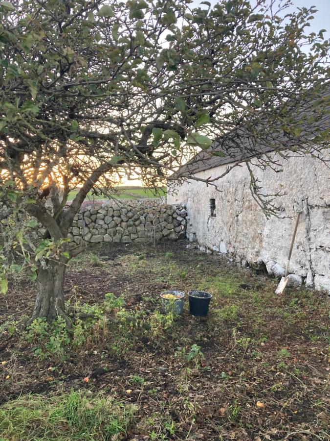 Littles Cottage, Heart Of The Mournes *
