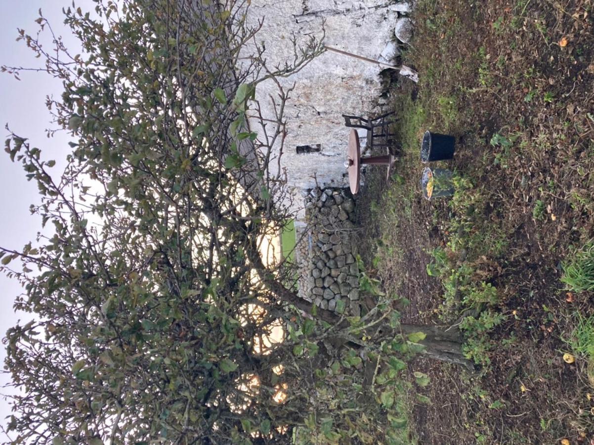 Holiday home Littles Cottage, Heart Of The Mournes